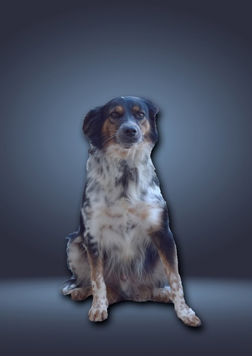 Beannie | 620098203059847